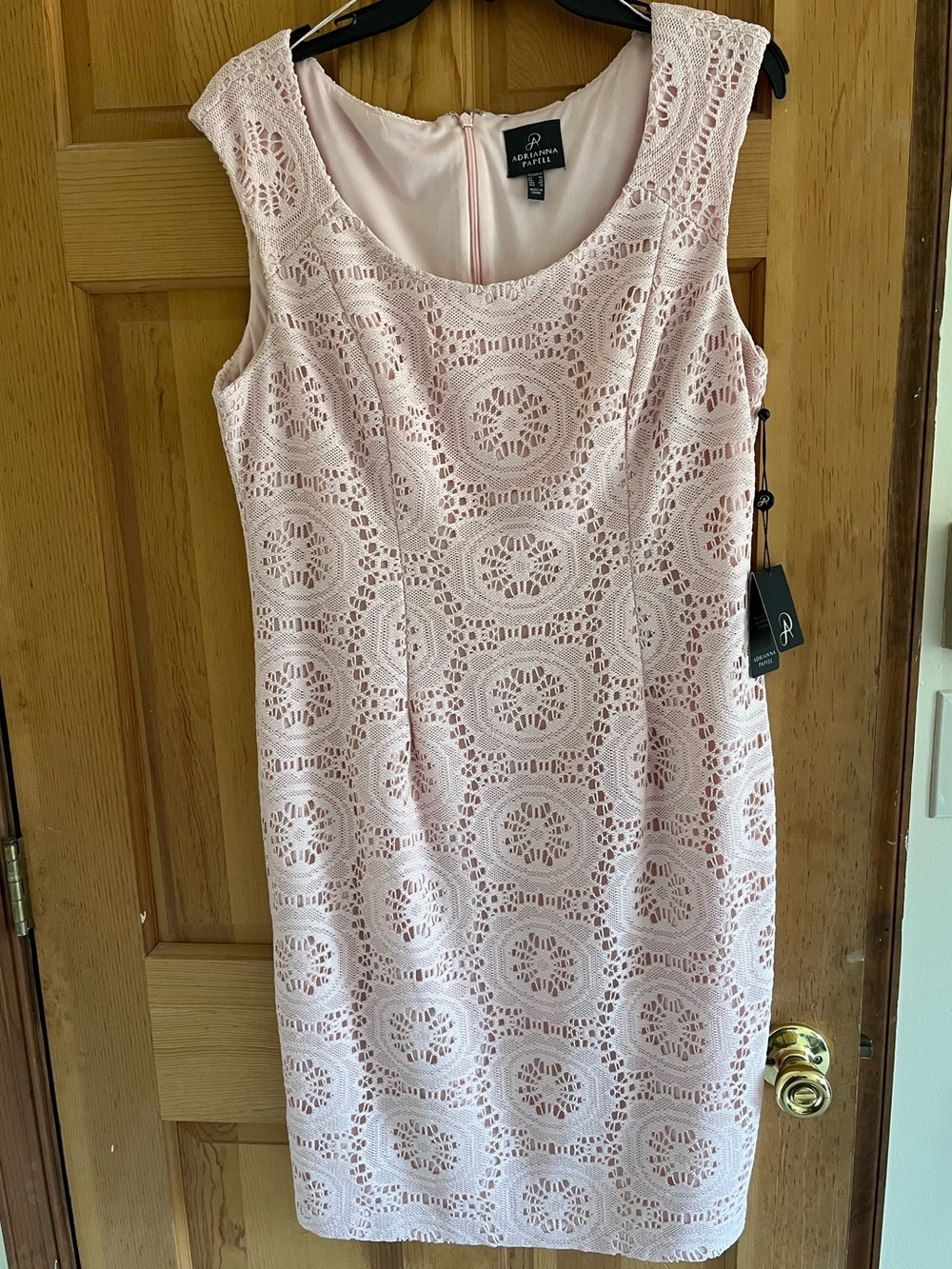 Adrianna Papell Blush Lace Sleeveless Dress, Size 14, NWT